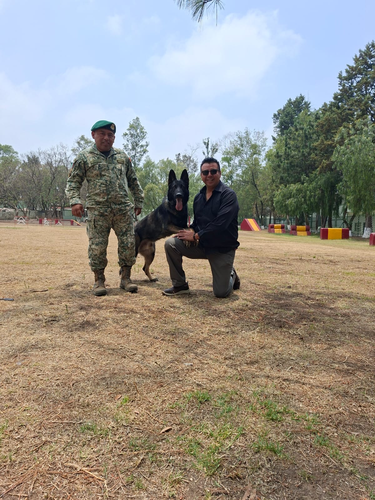 Adiestramiento Canino